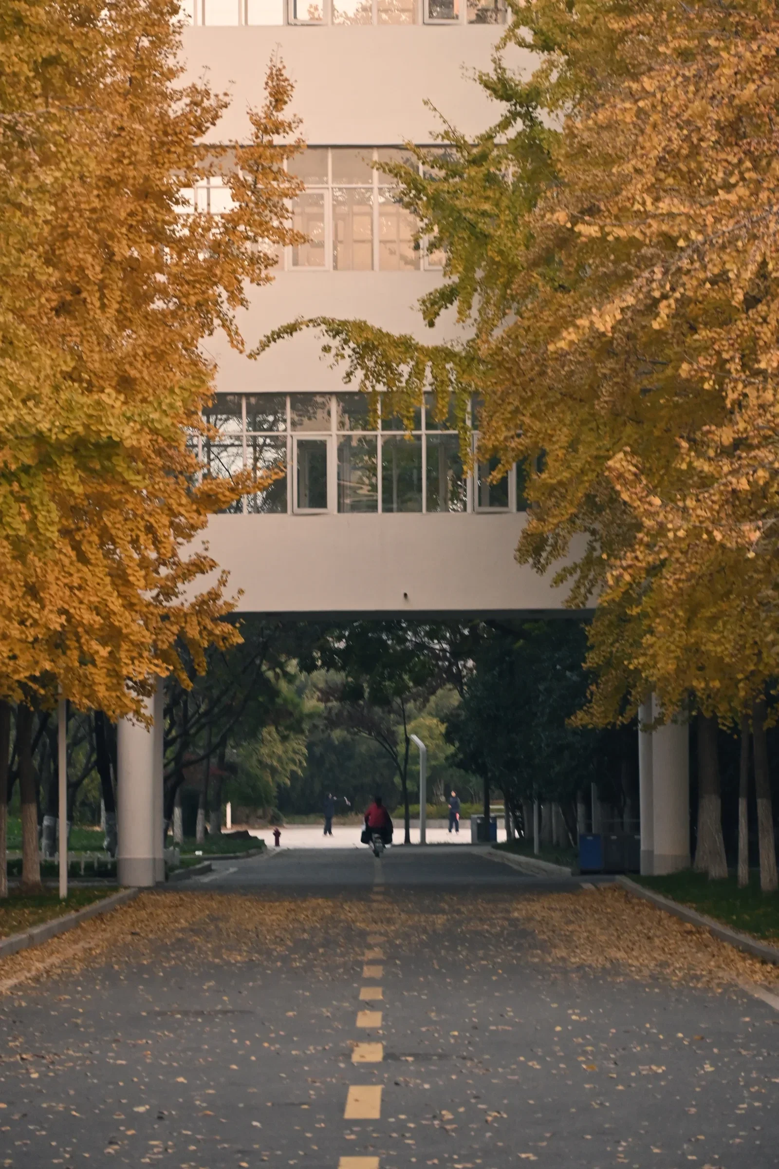 An avenue leads toward a building between trees with autumn-coloured leaves.